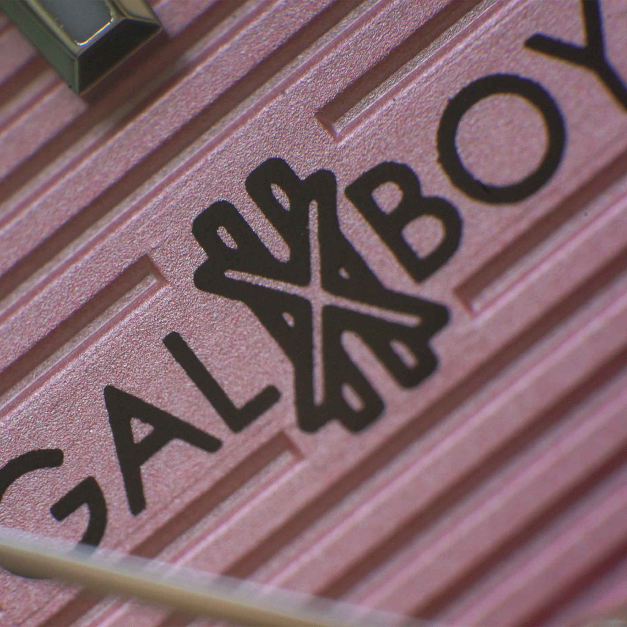 GXB 012 TYPE X - SILVER\ PINK