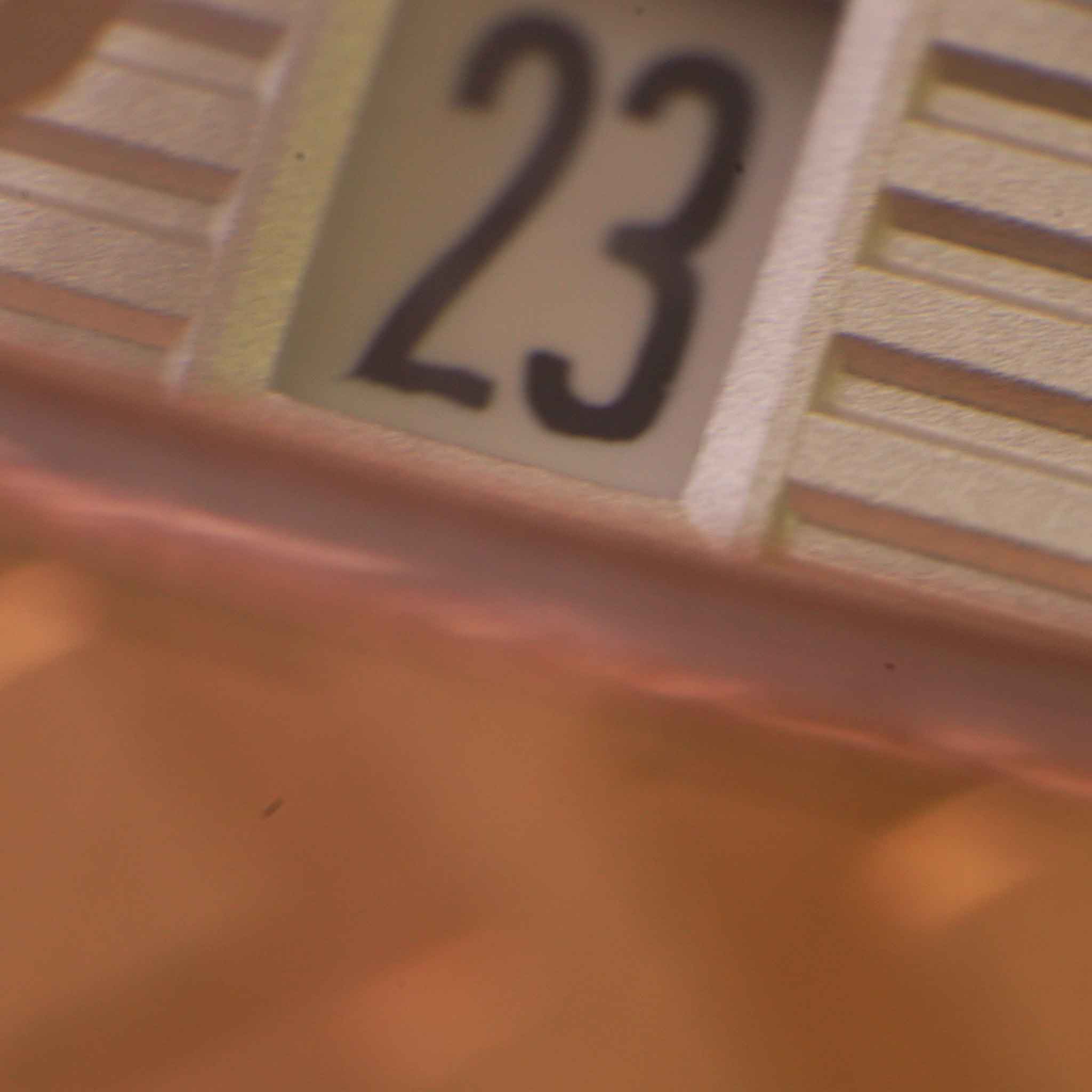 GXB 012 TYPE X - ROSE GOLD \ WHITE